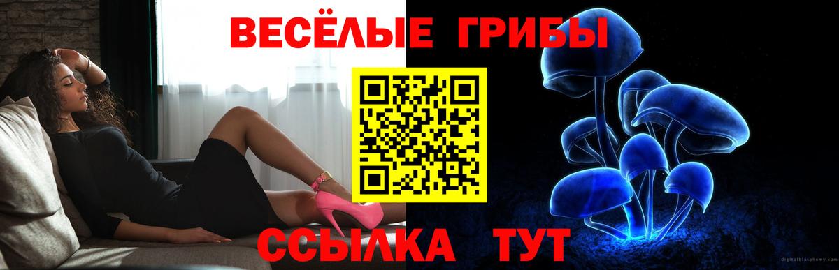 Галлюциногенные грибы Psilocybine cubensis Звенигород