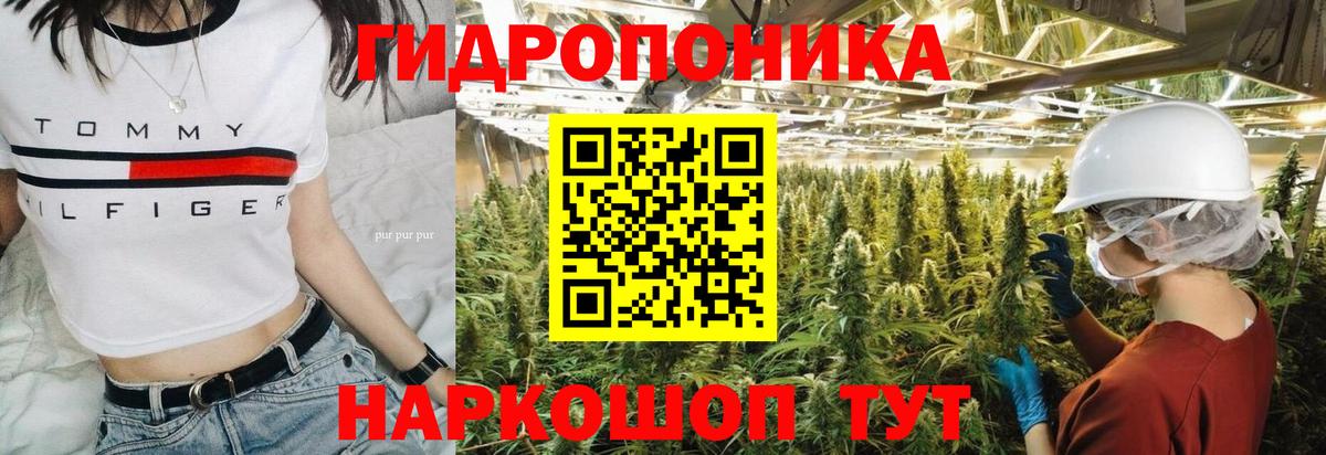 Бошки марихуана Ganja  Вход с VPN  Каннабис VHQ  Звенигород  Каннабис Bruce Banner  Канабис Amnesia 